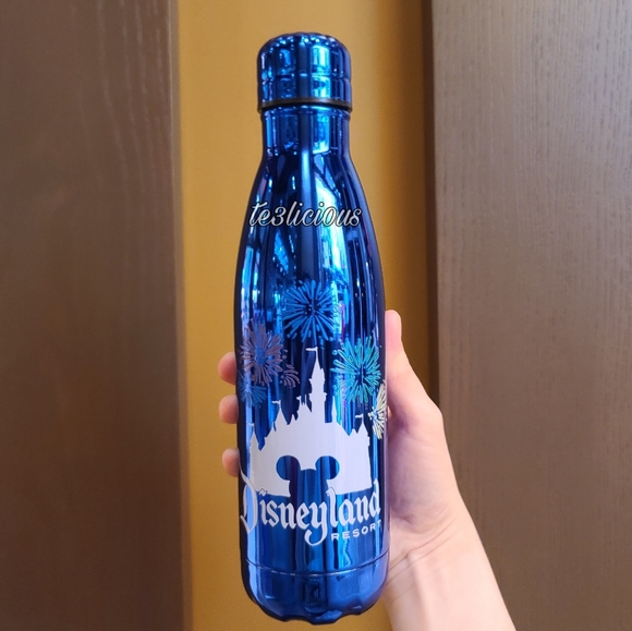 Disney Other - DISNEYLAND CASTLE STAINLESS STEEL TUMBLER